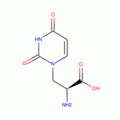 S(-)-WILLARDIINE AMPA/KAINATE AGONIST