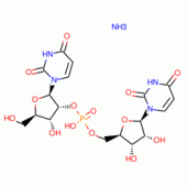 URIDYLYL(2'>5')URIDINE AMMONIUM