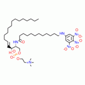 TRINITROPHENYLAMINOLAUROYL-*SPHINGOMYELI N