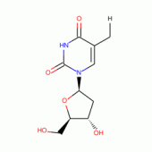 THYMIDINE-METHYL-3H (AQUEOUS)