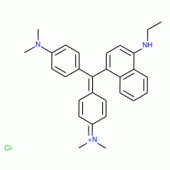 维多利亚兰R