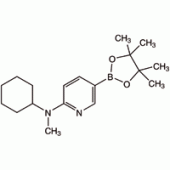 6-[环己基(甲基)氨基]吡啶-3-硼酸频哪醇酯, 95%