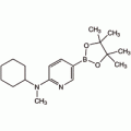 6-[环己基(甲基)氨基]吡啶-3-硼酸频哪醇酯, 95%