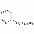 2-正丁氧基吡啶, 95%