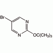 5-溴-2-(叔丁氧基)吡啶,95%
