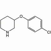 3-(4-氯苯氧基)哌啶