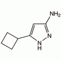 5-环丁基-吡唑-3-胺