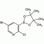 5-溴-2-氯吡啶-3-硼酸频哪醇酯, 95%