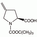 N-Boc-4-亚甲基-L-脯氨酸