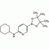 6-(环己氨基)吡啶-3-硼酸频哪醇酯, 95%