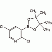 2,5-二氯吡啶-3-硼酸频哪酯, 94%