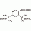 2,4-二(叔-戊基)苯氧基乙酸, 98%