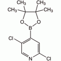 2,5-二氯吡啶-4-硼酸频哪酯,95%