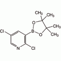 2,5-二氯吡啶-3-硼酸频哪酯, 94%