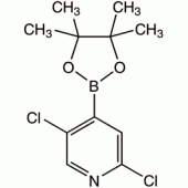 2,5-二氯吡啶-4-硼酸频哪酯,95%
