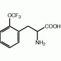 2-(Trifluoromethoxy)-DL-phenylalanine, JRD, 97%