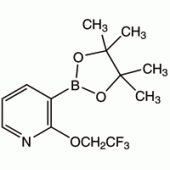 2-(2,2,2-三氟乙氧基)吡啶-3-硼酸频哪酯
