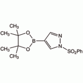 1-苯磺酰-1H-吡唑-4-硼酸频哪酯,95%