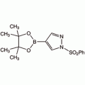 1-苯磺酰-1H-吡唑-4-硼酸频哪酯,95%