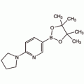 6-(1-吡咯烷并)吡啶-3-硼酸频哪醇酯, 95%