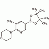 5-甲基-6-(4-吗啉代)吡啶-3-硼酸频哪醇酯, 95%