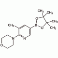 5-甲基-6-(4-吗啉代)吡啶-3-硼酸频哪醇酯, 95%