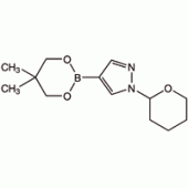 1-(2-四氢吡喃基)-1H-吡唑-4-硼酸新戊二醇酯,95%
