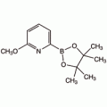 6-甲氧基吡啶-2-硼酸频哪醇酯, 97%