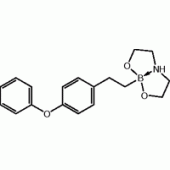 2-(4-Phenoxyphenyl)ethylboronic acid diethanolamine ester, 97%