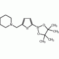 5-(1-Piperidinylmethyl)thiophene-2-boronic acid pinacol ester