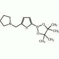 5-(1-Pyrrolidinylmethyl)thiophene-2-boronic acid pinacol ester